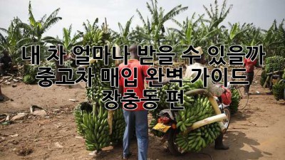 내 차, 얼마나 받을 수 있을까? 🤔 중고차 매입 완벽 가이드 (장충동 편)
